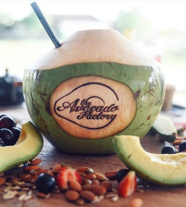 Get Smashed at the Avocado Factory in Canggu